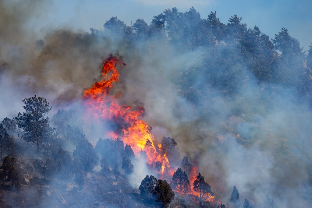 A wildfire burning in a mountainous area, with flames and smoke rising among trees.